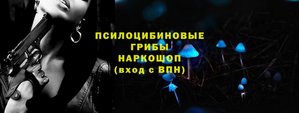 СК Лагань