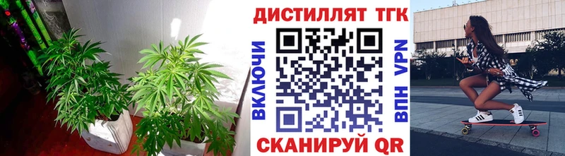 ТГК гашишное масло  Купить где  Гусиноозёрск 
