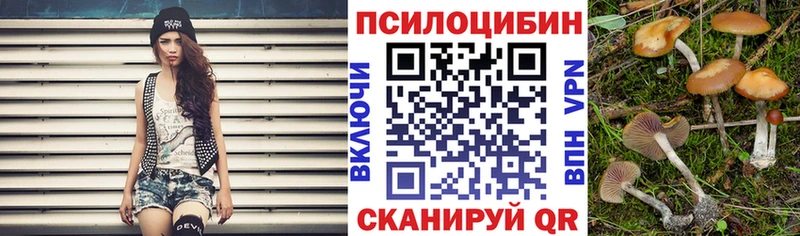 Купить где  Гусиноозёрск  Галлюциногенные грибы ЛСД 